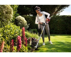 Honda HHT36BXB Cordless Grass Trimmer -Stih Machinery Shop HondaLawnTrimmerlifestyle4